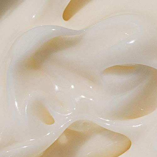 Moon Juice Cosmic Cream Vegan Collagen Protecting Moisturizer - Adaptogenic Dewy Face Lotion with Ashwagandha, Emollient Fatty Acids & Mushroom - Clean, Cruelty-Free & Sustainably-Sourced (1.7oz)
