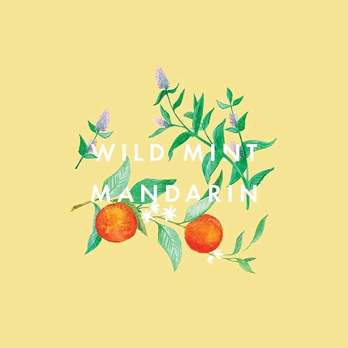 Neom – Great Day Hand & Body Wash, 300ml | Wild Mint & Mandarin | Gently Cleanse & Soften…