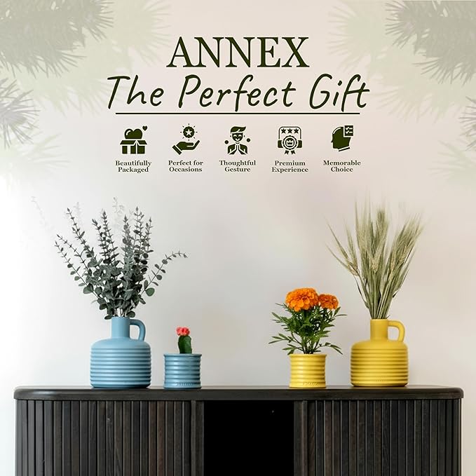 Scented Luxury Candles in Handmade Ceramic Jars, Soy Wax | Day On The Sea – Cypress & Cedar, Large Candle | Non Toxic, 2 Wicks, Reusable Big Blue Jar | Natural Spring Aromatherapy for Women & Men