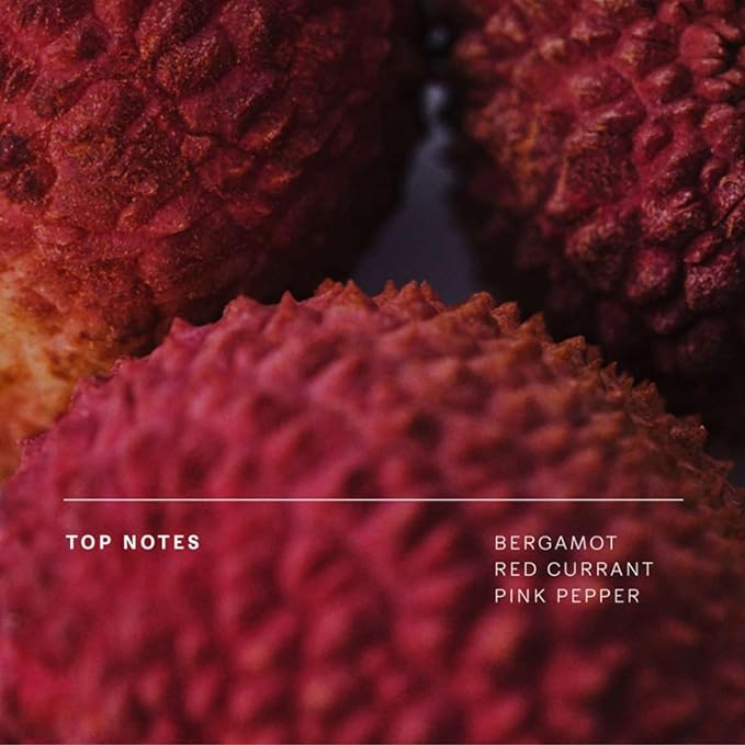 Future Society Solar Canopy Body Wash - Luxury Fruity Floral Scented Body Cleanser with Notes of Bergamot, Pink Sugar & Vetiver - Gentle Moisturizing Cleanser - Scented Shower Gel - 8oz