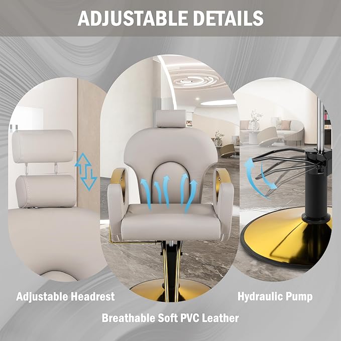 Salon Chair for Hair Stylist, Reclining Hair Barber Chair with Heavy Duty Hydraulic Pump, Up to 440 Lbs, 360 Degrees Swivel Beauty Spa Equipment for Salon Barbershop, Grey Glod