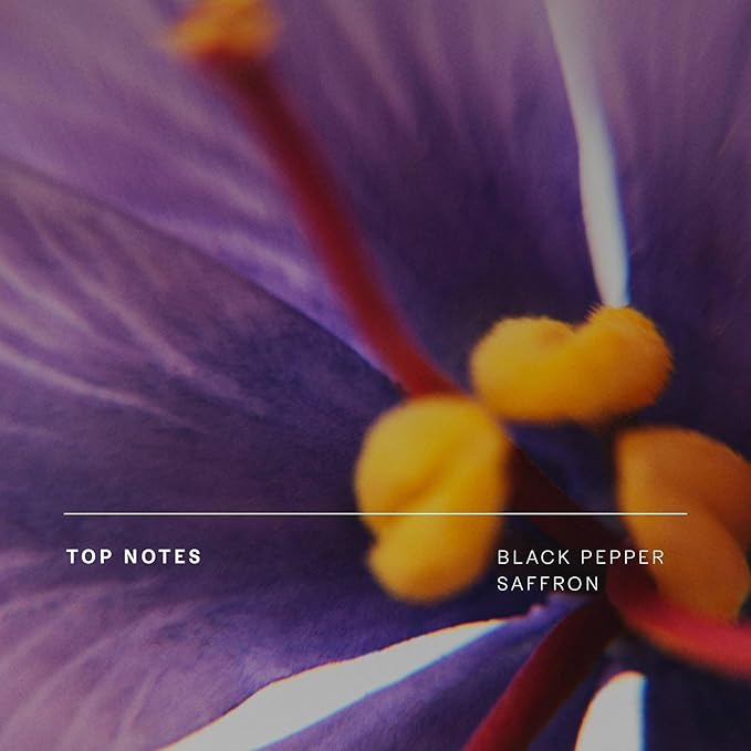 Future Society Haunted Rose Body Wash - Luxury Smoky Floral Scented Body Cleanser with Notes of Black Pepper, Rose, Amber & Sandalwood - Gentle Moisturizing Cleanser - Scented Shower Gel - 8oz