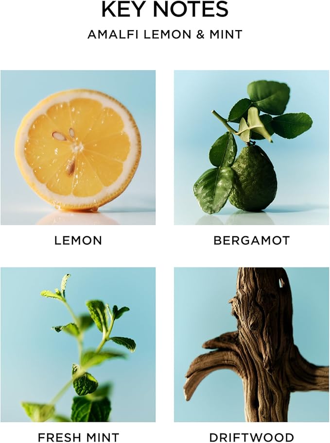 NEST New York Scented 3-Wick Candle, Amalfi Lemon & Mint - 21.2 oz - Up to 100-Hour Burn Time - Reusable Glass Vessel