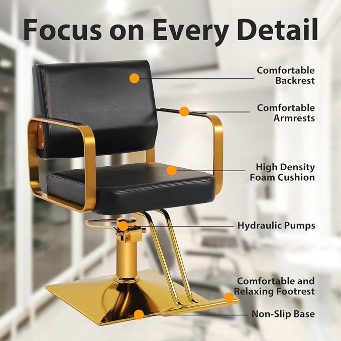 Salon Chairs for Hair Stylist Chair Hydraulic Pump Hair Salon Chair 360 Degree Rotating Barber Chair, Spa Beauty Equipment for Hair Stylists, Tattoo Artists, Cosmetologists (Not Tilting)