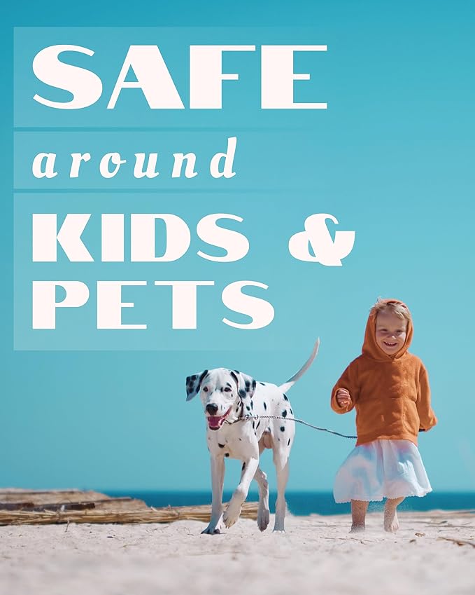 Orange Patchouli Delicious Natural Pure Essential and Fragrance Oil Perfume Roll On with Organic Jojoba Oil, Eau de Toilette, Alcohol Free, Small-Batch, Made in California