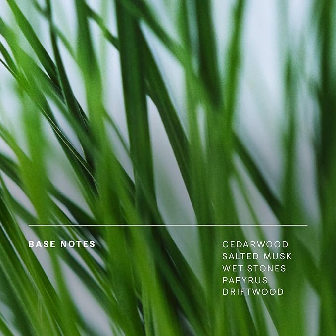 Future Society Floating Forest Body Wash - Luxury Aquatic Floral Scented Body Cleanser with Notes of Bergamot, Freesia & Musk - Gentle Moisturizing Cleanser - Scented Shower Gel - 8oz