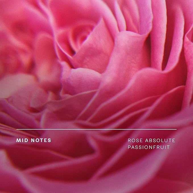 Future Society Haunted Rose Body Wash - Luxury Smoky Floral Scented Body Cleanser with Notes of Black Pepper, Rose, Amber & Sandalwood - Gentle Moisturizing Cleanser - Scented Shower Gel - 8oz