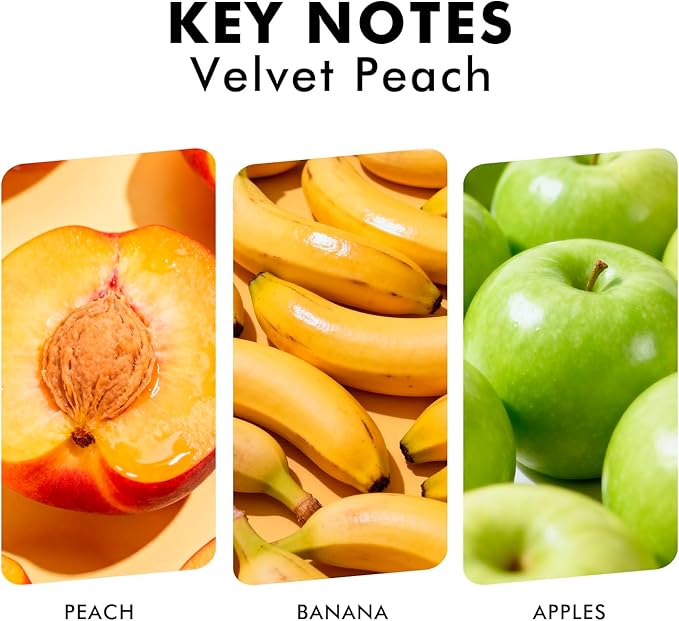 Reed Diffuser Set, Velvet Peach Scent Fragrance Oil Diffuser, Reed Diffusers for Home, Bathroom Air Fresheners & Decor