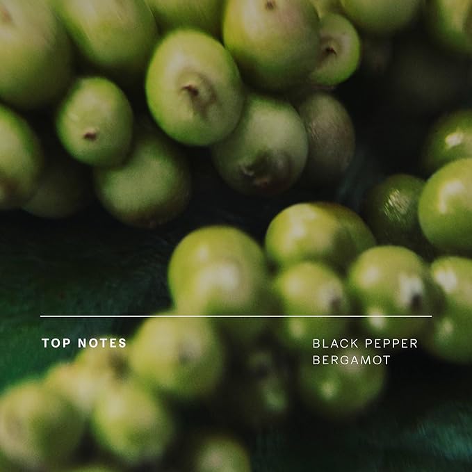 Future Society Floating Forest Body Wash - Luxury Aquatic Floral Scented Body Cleanser with Notes of Bergamot, Freesia & Musk - Gentle Moisturizing Cleanser - Scented Shower Gel - 8oz