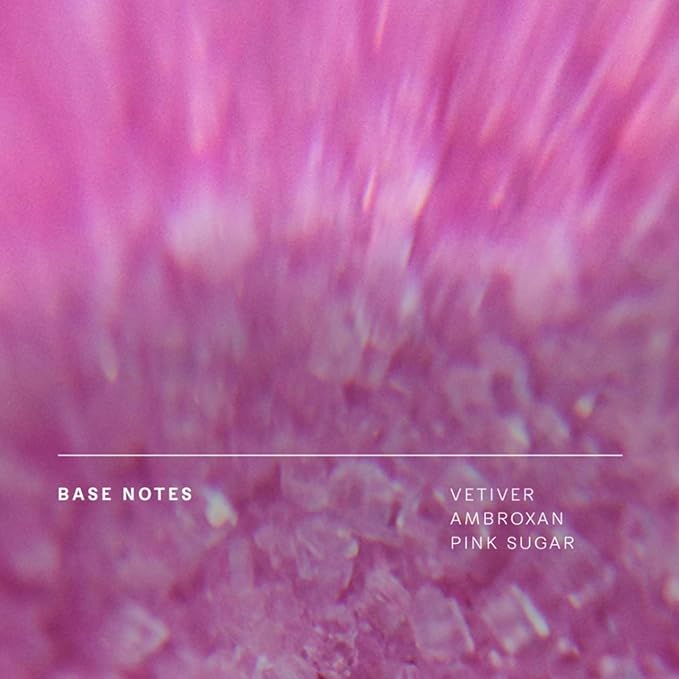 Future Society Solar Canopy Body Wash - Luxury Fruity Floral Scented Body Cleanser with Notes of Bergamot, Pink Sugar & Vetiver - Gentle Moisturizing Cleanser - Scented Shower Gel - 8oz