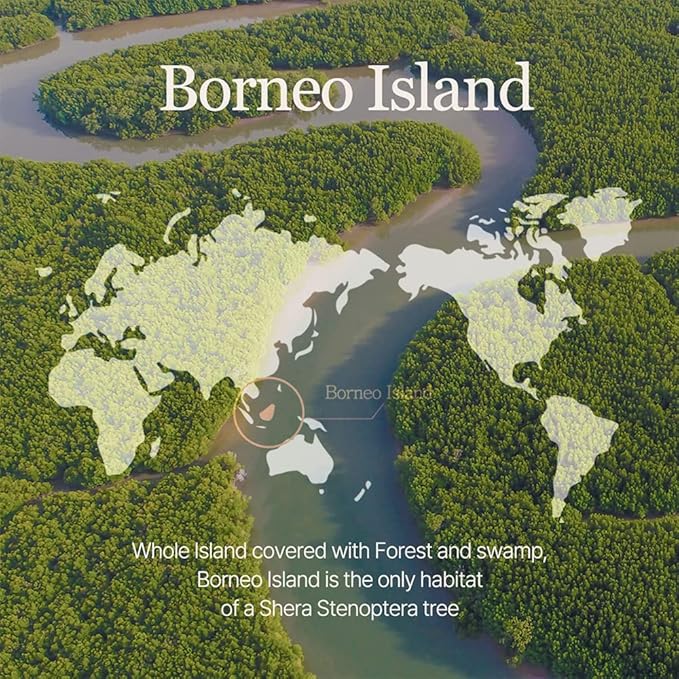 mixsoon Vegan Melting Lip Balm (Clear) - Moisturizing and Softening Lip Care, Shea Butter, Transparent Finish for Smooth Hydrated Lips 4.1g / 0.13 fl. oz. Korean Glass Skin Care