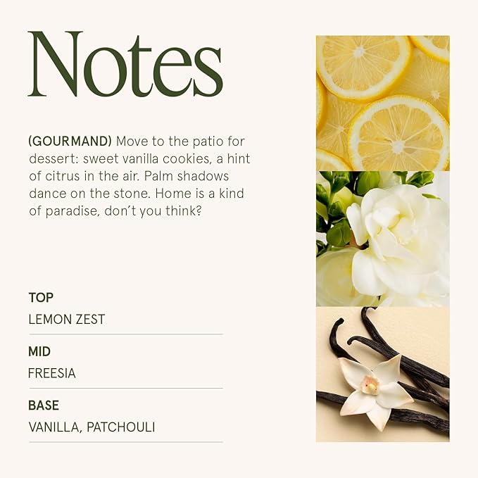 LA JOLIE MUSE Vanilla Bomb Candle | Lemon Zest, Fressia & Patchouli | 12 oz Large 2-Wick Soy Wax Candle | 60 Hours Clean Burn | Gift-Ready for Hosts | Elegant Home Décor