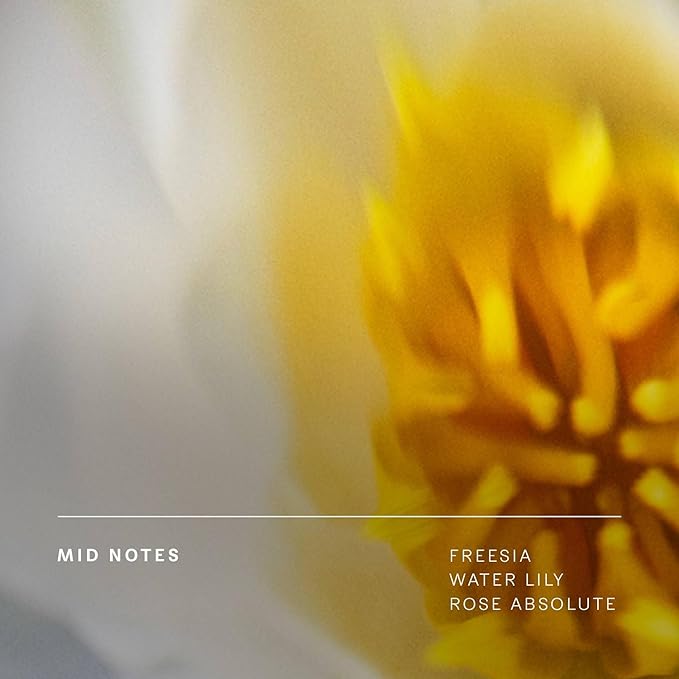 Future Society Floating Forest Body Wash - Luxury Aquatic Floral Scented Body Cleanser with Notes of Bergamot, Freesia & Musk - Gentle Moisturizing Cleanser - Scented Shower Gel - 8oz