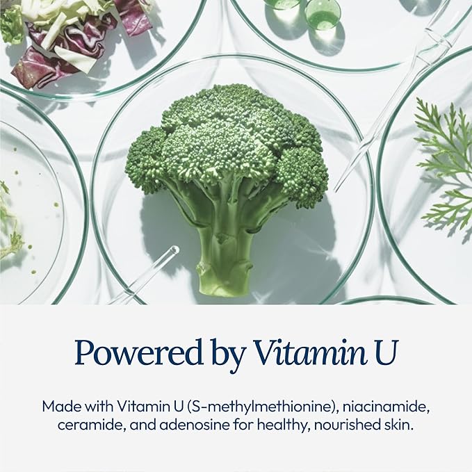 Moisturizing Cream for Face, Korean Skincare Hydrating Facial Cream with Adenosine, Niacinamide, and Ceramide, promotes Anti-Aging Skin, 50ml (1.69 Fl. Oz.)