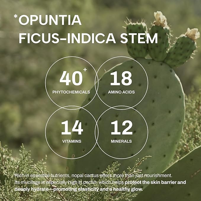 Whamisa Organic Cactus Bouncy Serum, 48 hrs Inner Skin Moisture, 72 hrs Hydrating and Moisturizing, Fermented Ingredient Formula, Facial Ampoule, Korean Skin Care (52ml)