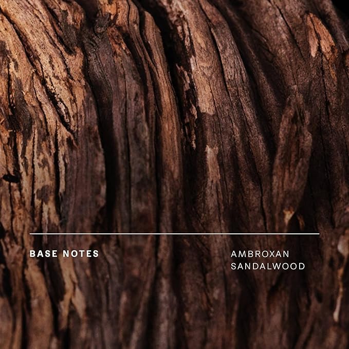 Future Society Haunted Rose Body Wash - Luxury Smoky Floral Scented Body Cleanser with Notes of Black Pepper, Rose, Amber & Sandalwood - Gentle Moisturizing Cleanser - Scented Shower Gel - 8oz