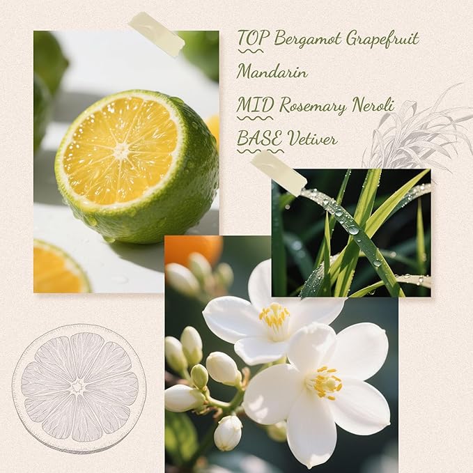 Reed Diffuser, 6.09 oz Citrus Grove Scent Diffuser with Sticks & Dried Flowers, 120 Days Long Lasting Diffusers for Home, Elegant Fragrance for Bathroom Bedroom Office Decor Air Fresh