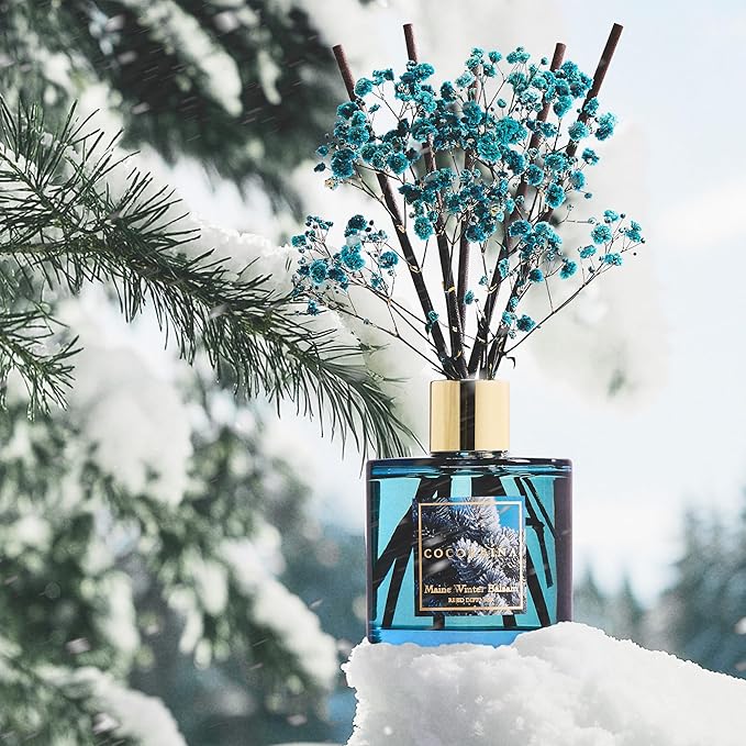 COCORRÍNA Reed Diffuser - Maine Winter Balsam Reed Diffuser Set with 8 Sticks & Preserved Baby's Breath, Reed Diffuser for Home Bathroom Shelf Decor