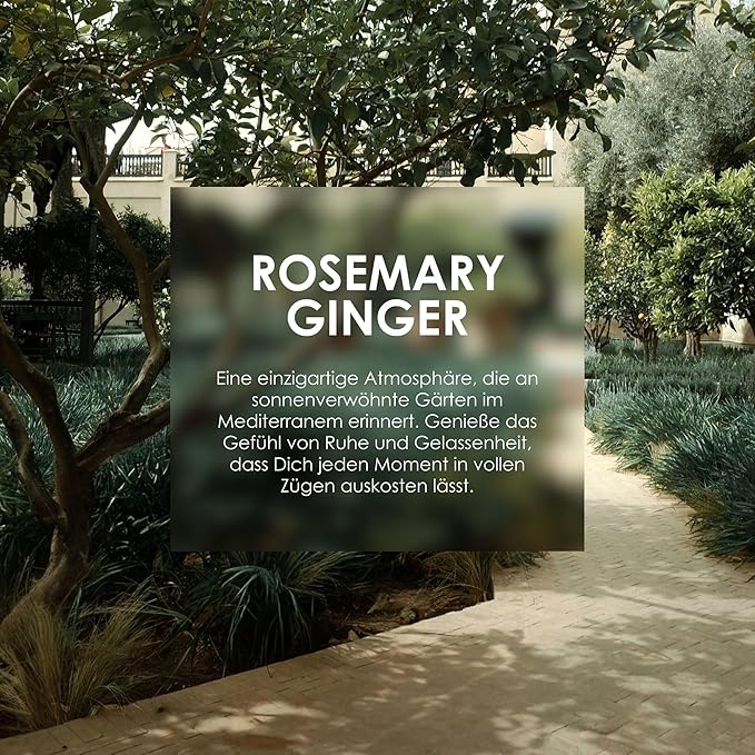 Jean & Len Scent Experience Rosemary & Ginger, Eau de Toilette with rosemary & ginger fragrance, practical mini perfume, ideal for on the go, minimalistic glass bottle, 0.34 Fl. Oz.